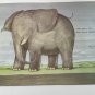 The Elephant and the Bad Baby Vipont Briggs Book 1974 3rd Print USA
