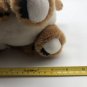 Adventure Planet Plush Chubby Cub 9&acirc;�� Stuffed Animal Toy CLEAN