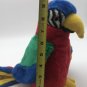 Ty Beanie Baby Jabber Parrot 1997 Retired Without Tags CLEAN 9.5â