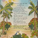 VTG 1940s Linen Postcard Tropical Florida Series St Petersburg Humor Unused