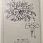 First Day Issue Royal Horticulture Society Flower Stamp 1979 Great Britain Prim