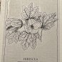 First Day Issue Royal Horticulture Society Flower Stamp 1981 Maurtius HIBISCUS