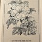 First Day Issue Royal Horticultural Society Flower Stamp 1981 Suriname Rose