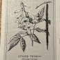First Day Issue Royal Horticultural Society Flower Stamp 1978 British Virgin Ils