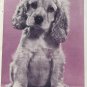 First Day COVER Issue FDC DOGS, 4 different DOG Stamps, 1984