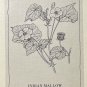 First Day Issue Royal Society Flower Stamp 1979 Maldives Indian Mallow