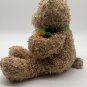 TY Classic Carroty the Teddy Bear Plush Beanie Buddy 13&acirc;�� CLEAN
