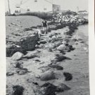 Vintage B&W Photo Cape Cod Rocky Shoreline Mother Baby Toddler House 3.5” x 5”