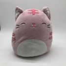 Squishmallows 8" Paulita Pink Cat Tabby Nap Queen Fluffy Soft CLEAN