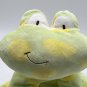 Kids Preferred Green Yelllow polka dot Frog Asthma allergy friendly 11" EUC