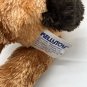 Halloween Pumpkin Dog Kellytoy Soft Plush Halloween 11&acirc;��