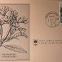First Day Issue Royal Horticultural Society Flower Stamp 1978 Antigua Frangipani