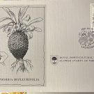 First Day Issue Royal Horticultural Flower Stamp 1981 South Africa Transkei