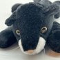 Kellytoy Beanpals Black Panther Cat Bean Bag Plush Stuffed Animal Toy 8&acirc;��