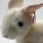 TY Classic Plush Toy Bows White Bunny Rabbit Easter Vintage 1997 Stuffed 10&acirc;��