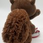 Sammy The Squirrel Souvenir Plush Great Wolf Lodge Camera Fiesta Stuffed 10"