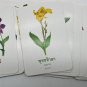 Thailand Flash Cards Book World Publish Thai English Names Of Flowers 30 cards