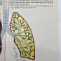CHILDRENS , THIS IS HOW MY BODY WORKS by EDITH HEUSER Vintage 1982