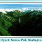 Olympic National Park Washington Hurricane Ridge Vintage 1993 Posted Postcard