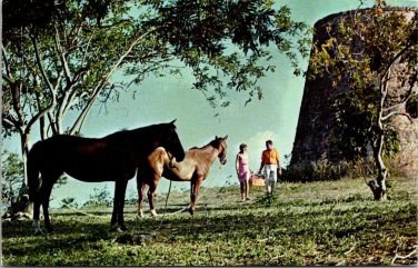 Molasses Mill Virgin Islands Horses Couple 1950's VTG Unposted Postcard
