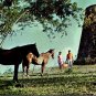 Molasses Mill Virgin Islands Horses Couple 1950's VTG Unposted Postcard