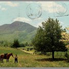Mt Jefferson State Park Jefferson North Carolina Vintage 1975 Posted Postcard