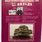 International Bonsai Magazine Spring 1981 Vintage Care And Maintenance Guide