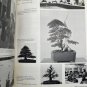 International Bonsai Magazine Spring 1981 Vintage Care And Maintenance Guide