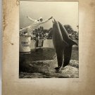 Marine Studios Florida Henry A. Schafer Signed Photo 13”x10” 1940s