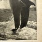 Marine Studios Florida Henry A. Schafer Signed Photo 13âx10â 1940s