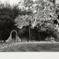 B&W Photo Forest Entrance Pergola Spooky Falling Leaves Dusk 7&acirc;��x 5&acirc;��