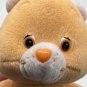 Play Along Care Bear FRIEND BEAR Retired Orange SunFlower Plush 2002