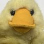 Mary Meyer Duck Musical Pull Crib Toy Lullaby Baby Hanging Plush Vintage Scarce