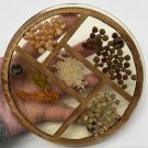 Lucite Trivet MCM with Dried Seeds Rice Nuts Grain Feet Round 5.5”