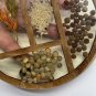 Lucite Trivet MCM with Dried Seeds Rice Nuts Grain Feet Round 5.5â