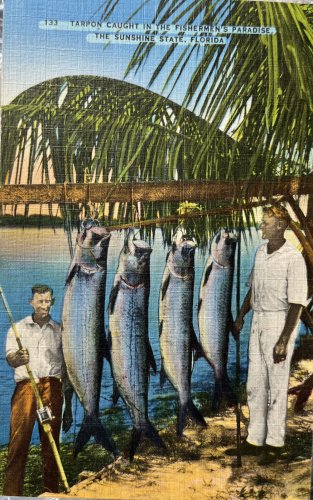 USPS Linen Postcard Tarpon Springs Florida 1940s Fisherman Paradise Note On Back