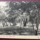 USPS Lovers Lane Island Park, Elkhart, IN Indiana Woods Atq Postcard PM 1907 1c