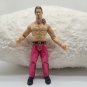 WWE Chris Jericho Wrestling's Most Wanted Loose Wrestling Action Figure Jakks