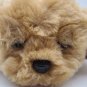 Little Live Pets Snuggles My Dream Puppy Dog Animatronic Plush Interactive WORKS