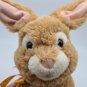 Cuddle Barn Animated Easter Bunny Sings If Youre Happy & You Know It Claps