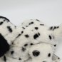 Hasbro FurReal Friends Black & White Puppy Dog Dalmatian Interactive 2012 *WORKS