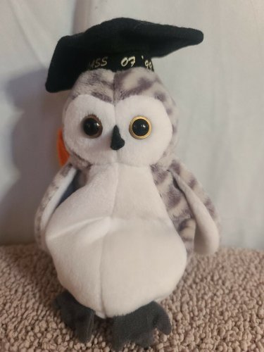 Ty &acirc;��WISER&acirc;�� the Owl Class of '99 Original Beanie Baby 1999 - GOOD condition 4238