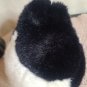 KY Plush Panda Toy High Quality Cute Panda 8"