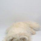 Vintage 1999 Stuart Little Plush Snowball Cat Rhinestone Collar Laying Fluffy