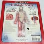 Book: Uncover the Human Body, 3D visual Reference