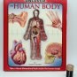 Book: Uncover the Human Body, 3D visual Reference