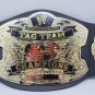 HTF Jakks Pacific WWE Wrestling  Replica World Heavyweight Championship Belt
