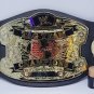 HTF Jakks Pacific WWE Wrestling  Replica World Heavyweight Championship Belt