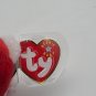 Ty Beanie Baby PATRIOT The Bear - TAG ERRORS - 5-29-2000/2001 PE Retired RARE
