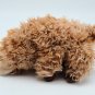 Douglas Cuddle Toys Lexi Llama #1530 Stuffed Animal Toy *READ*